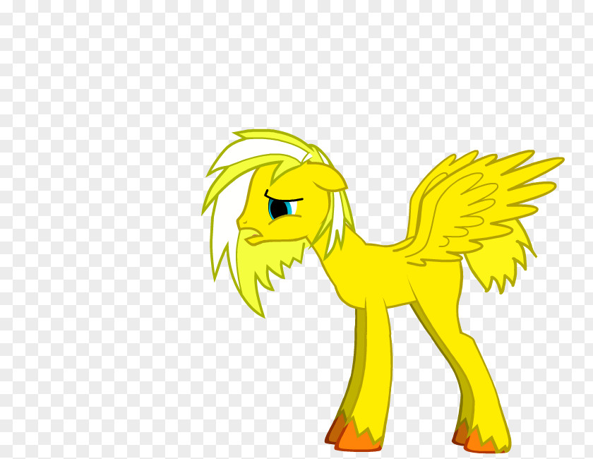 Horse Pony Princess Celestia Cadance Derpy Hooves PNG