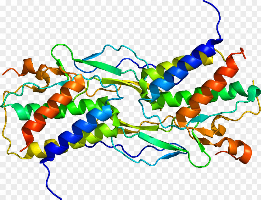 Membrane Interleukin 15 Interleukin-2 IL-2 Receptor Cytokine PNG