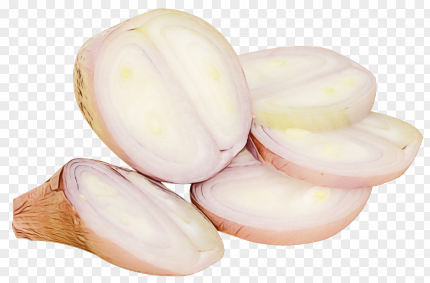 Pistachio Vegetable Nut Fruit Commodity PNG