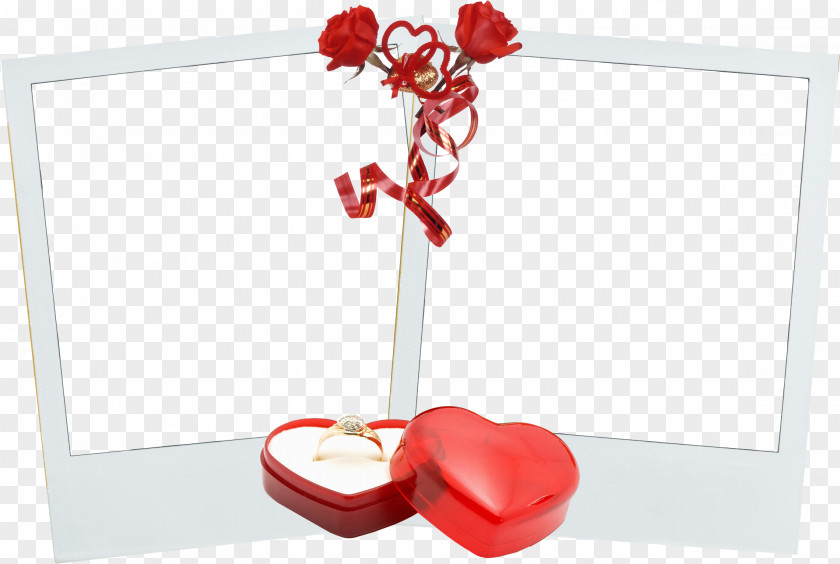 Valentine's Day Picture Frames Photography PNG