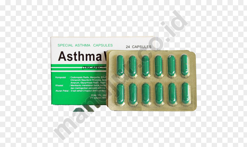 Asthma Obat Tradisional Drug Joint Pain Hemorrhoid Herb PNG