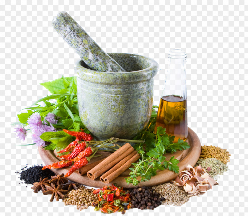 Health Herbalism Traditional Medicine Alternative Services PNG