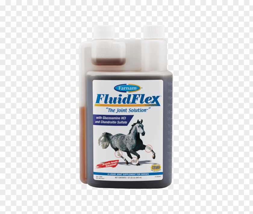 Horse Dietary Supplement Joint Dog Nutrient PNG