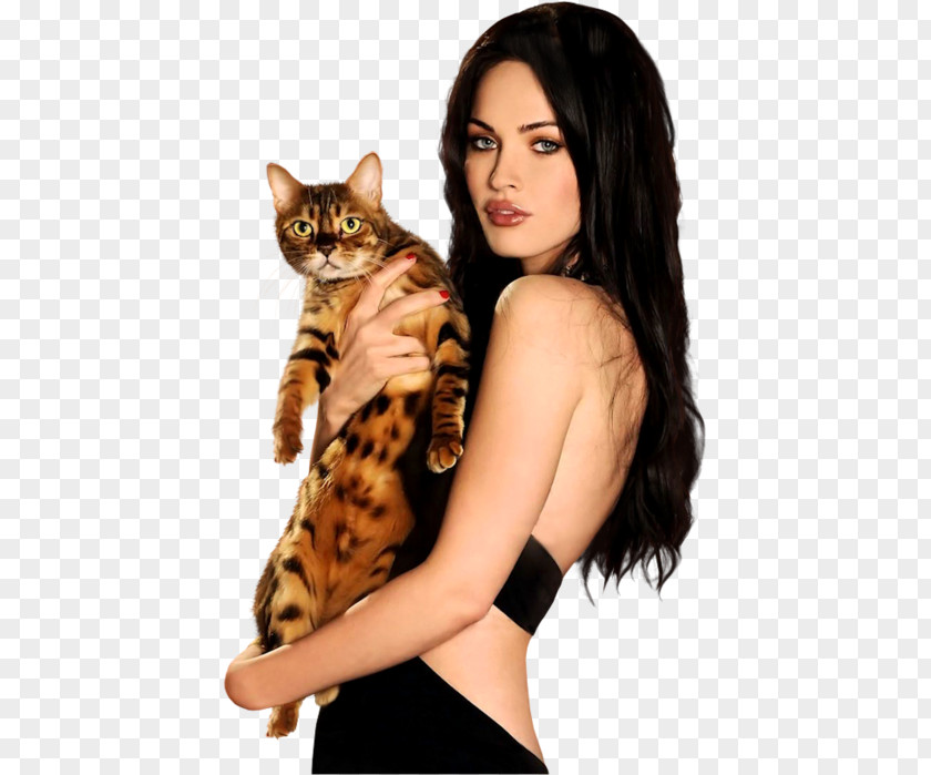 Megan Fox Transformers Mikaela Banes Cat Photography PNG