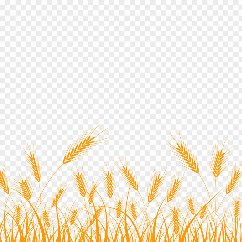 Rice Wheat Silhouette Clip Art PNG