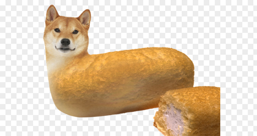 Shiba Inu Dogecoin Desktop Wallpaper PNG