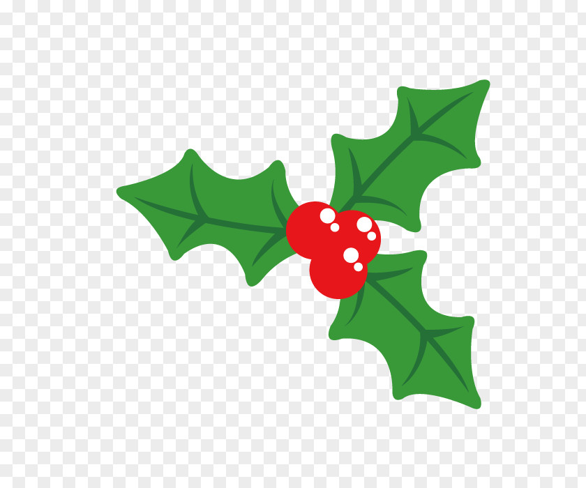 Vector Christmas Decorative Plants Holly Plant PNG