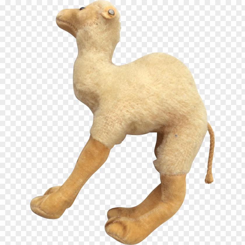 Camel Dromedary Stuffed Animals & Cuddly Toys Livestock Fur PNG
