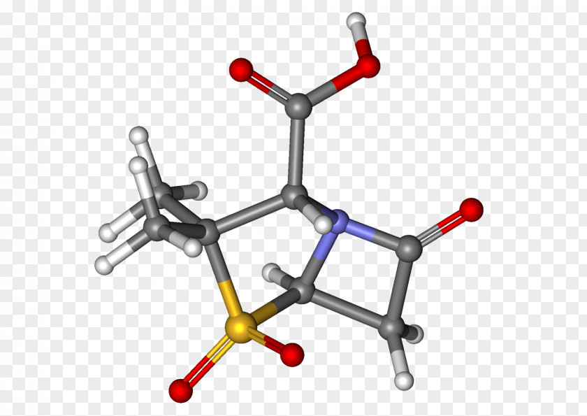 Dailymed Ampicillin/sulbactam β-Lactamase Inhibitor Cefoperazone PNG