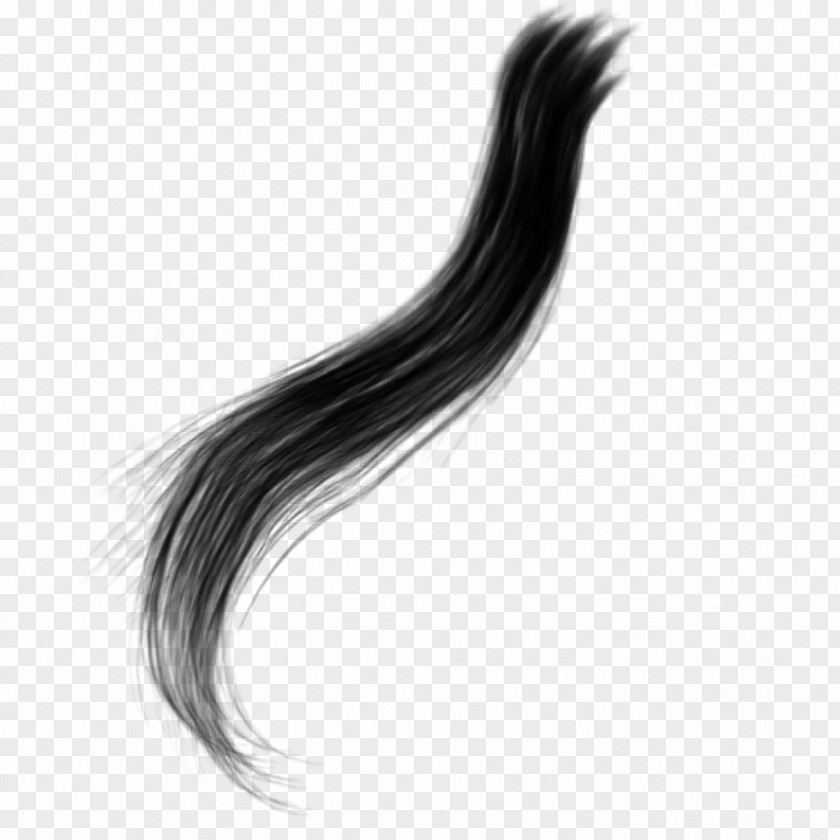 Elegant Hair Capelli Long PNG