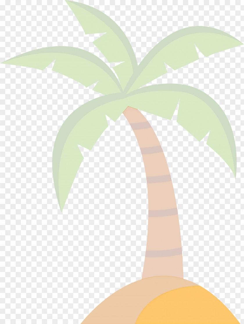 Palm Trees PNG