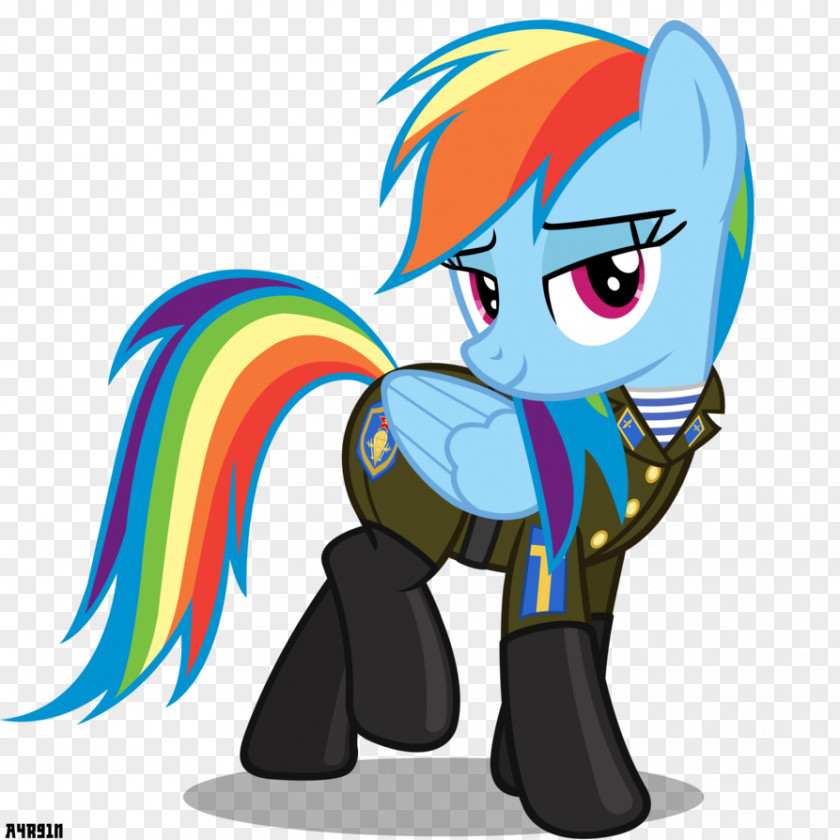 Pony Rarity Rainbow Dash Derpy Hooves Fluttershy PNG