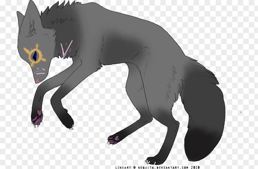 Cat Whiskers Art Dog Canidae PNG