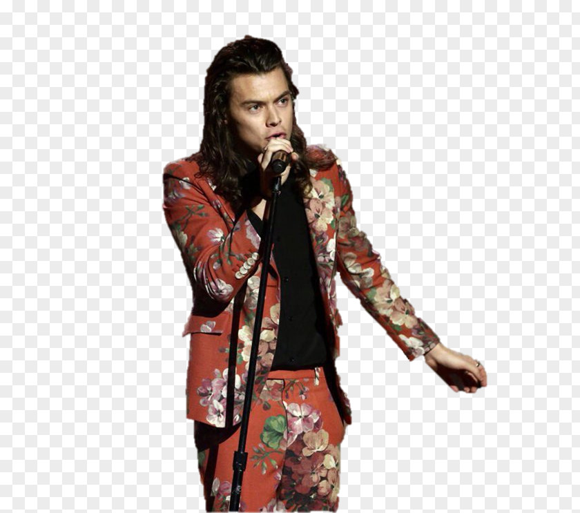 Harry Styles The X Factor Model Photography Fashion PNG