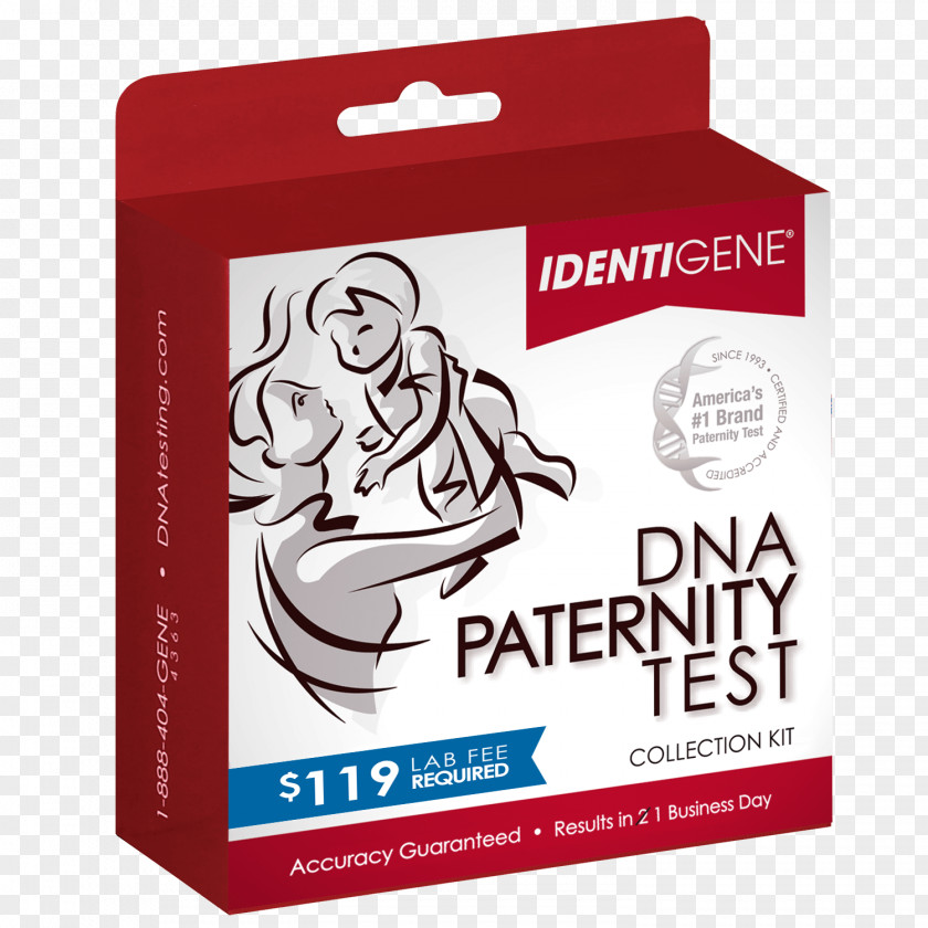 Mung Bean Sprout DNA Paternity Testing Genealogical Test Genetic Law PNG