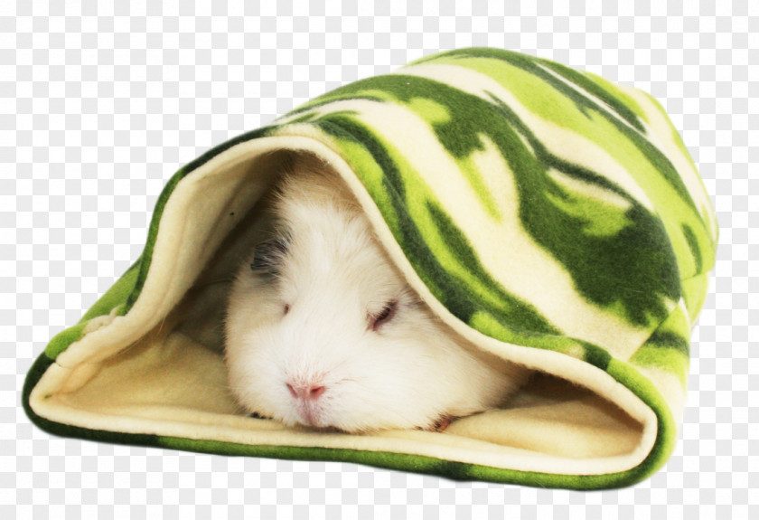 Guinea Pig Peruvian Care Hamster Cage PNG