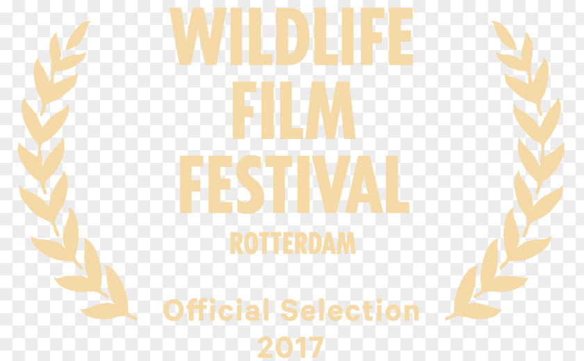 Nature Documentary Wildlife Film Festival Rotterdam Jerusalem Southern Utah International PNG