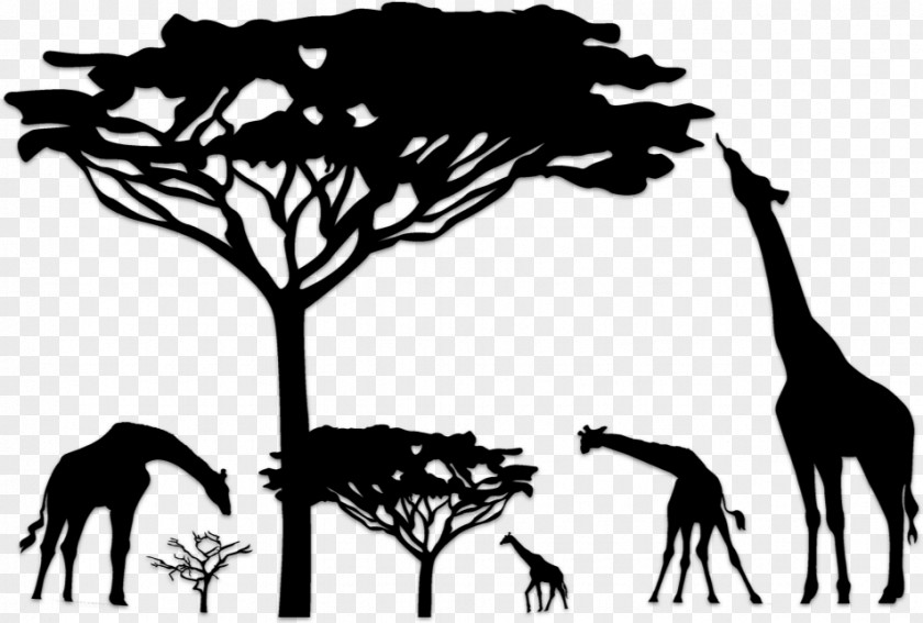 Savanna Giraffe Wall Decal Lion Tree PNG