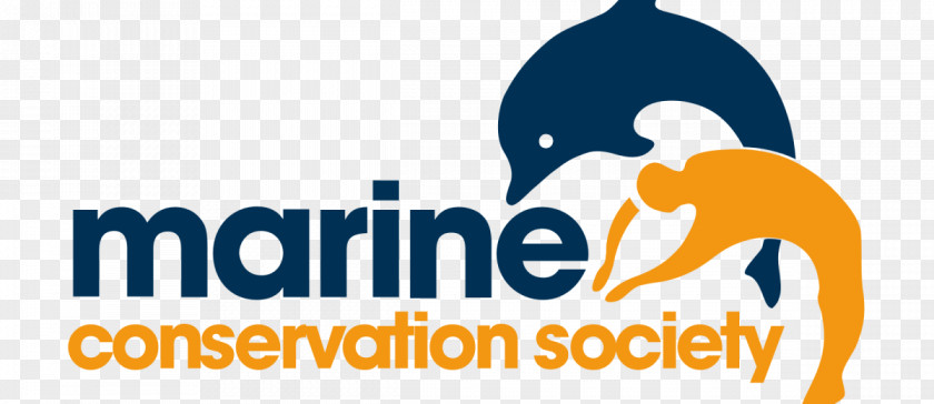 Sea Marine Conservation Society South East Group PNG