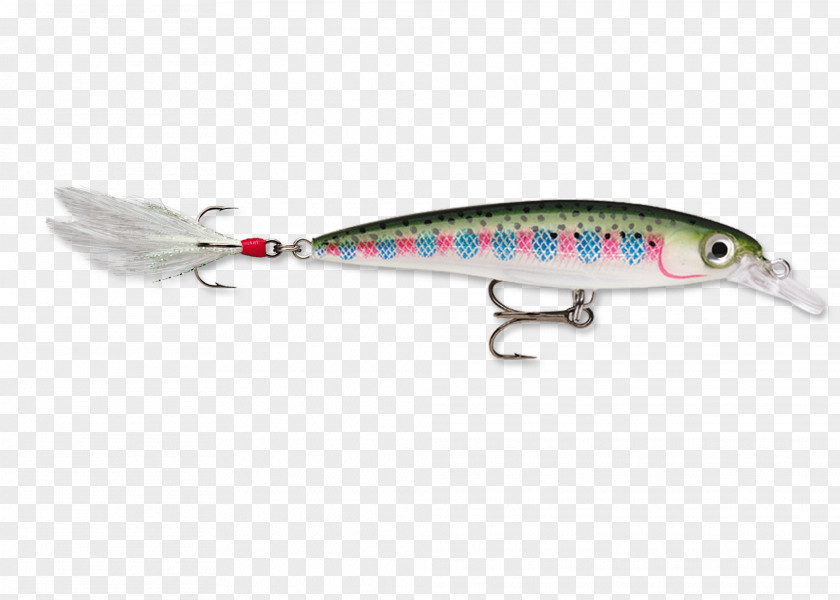 Trout Fishing Baits & Lures Rapala Fly Rainbow PNG