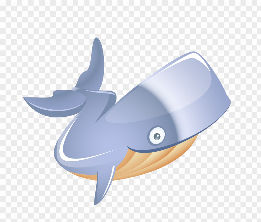 Whale Graphic Design Euclidean Vector Adobe Illustrator PNG