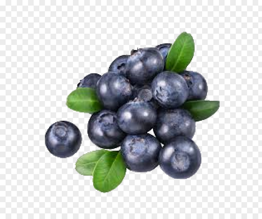 Blueberry Tea Bilberry Huckleberry PNG