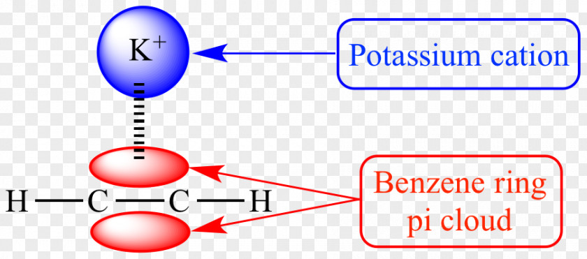 Cation–pi Interaction Pi Bond Non-covalent Interactions PNG