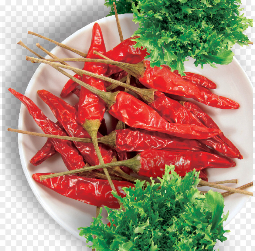 Chili Pepper Spice Food Condiment PNG pepper Condiment, s clipart PNG