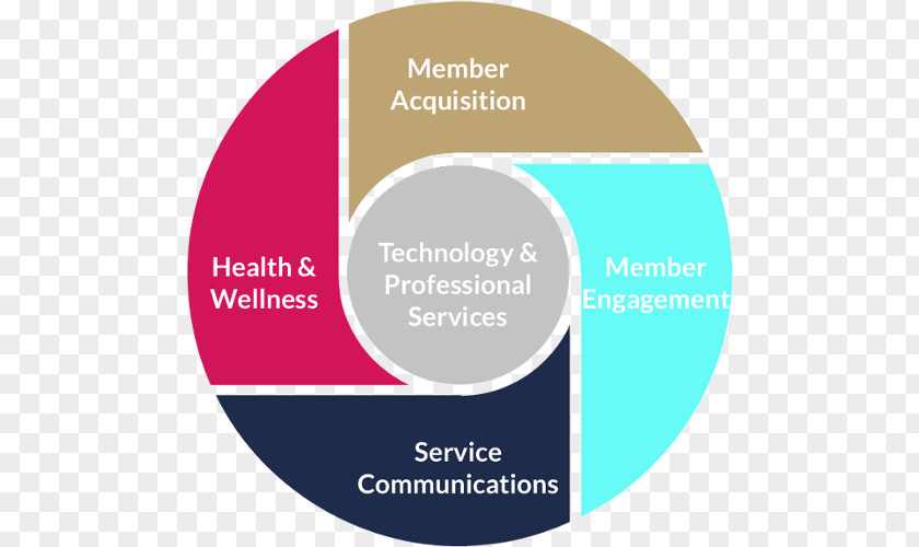 Health Communication Information Diagram Chief Executive PLATO Learning, Inc. Infographic PNG