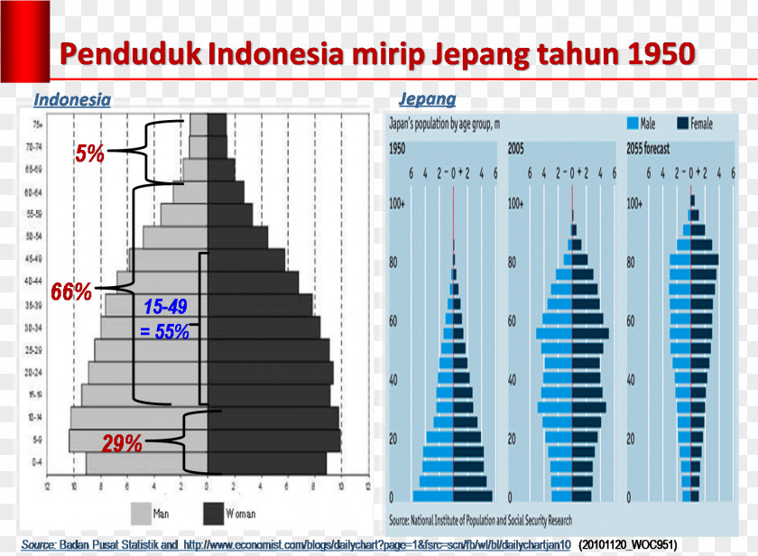 Japan Japanese Occupation Of The Dutch East Indies Population Pyramid Demography PNG