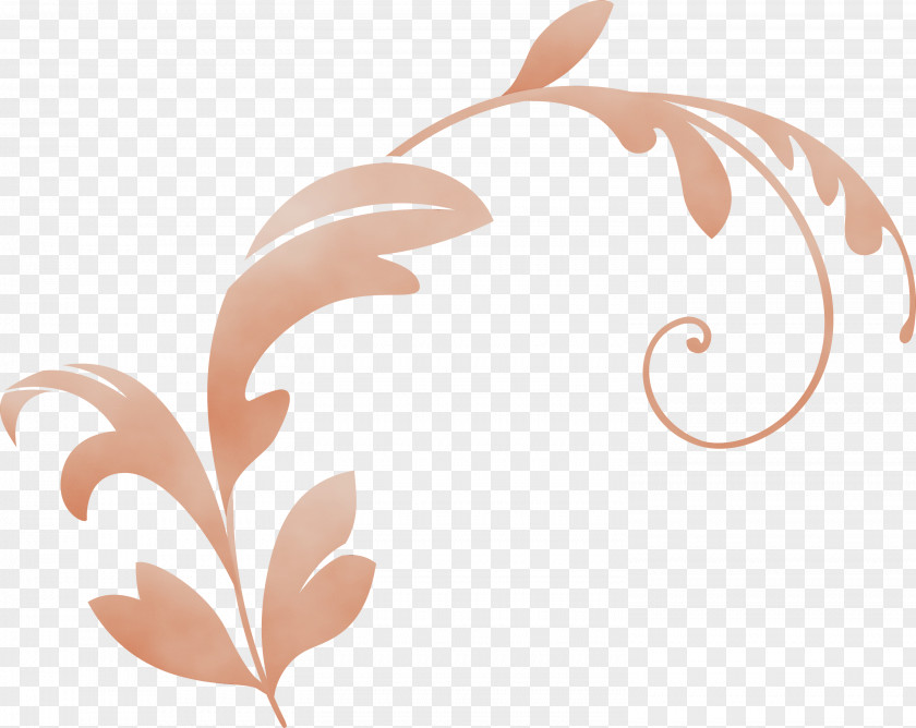 Leaf Plant Pattern Ornament PNG