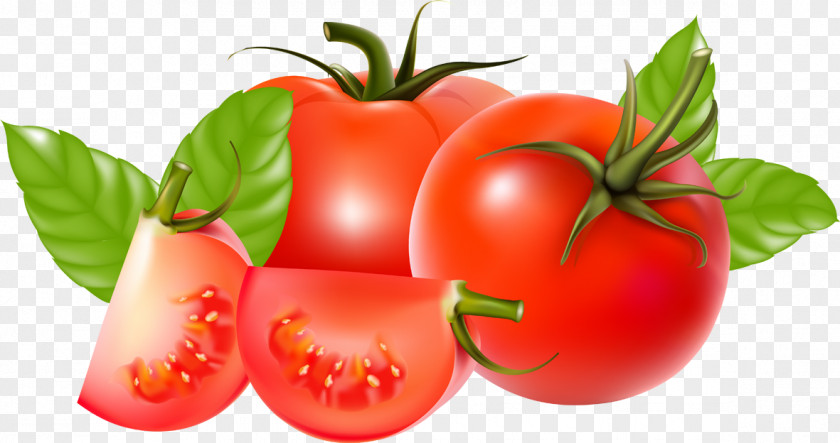 Vegetable Tomato Cherry Ketchup Sauce PNG