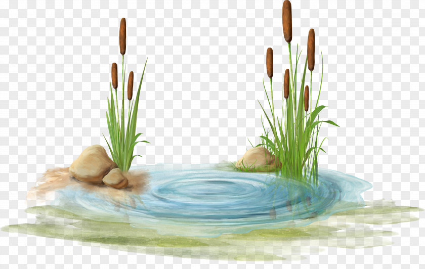 Watermark Blue Stone Swamp Clip Art PNG