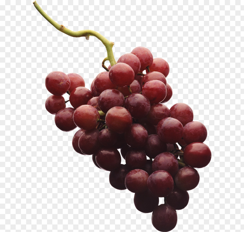 Wine Kyoho Red Grape Seed Extract PNG