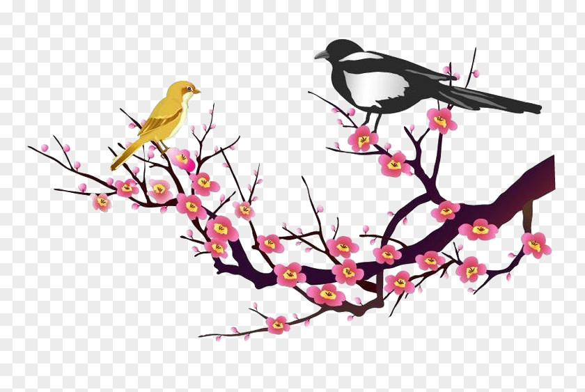 Bird On Plum Blossom Lunar New Year Peach Ochna Integerrima PNG