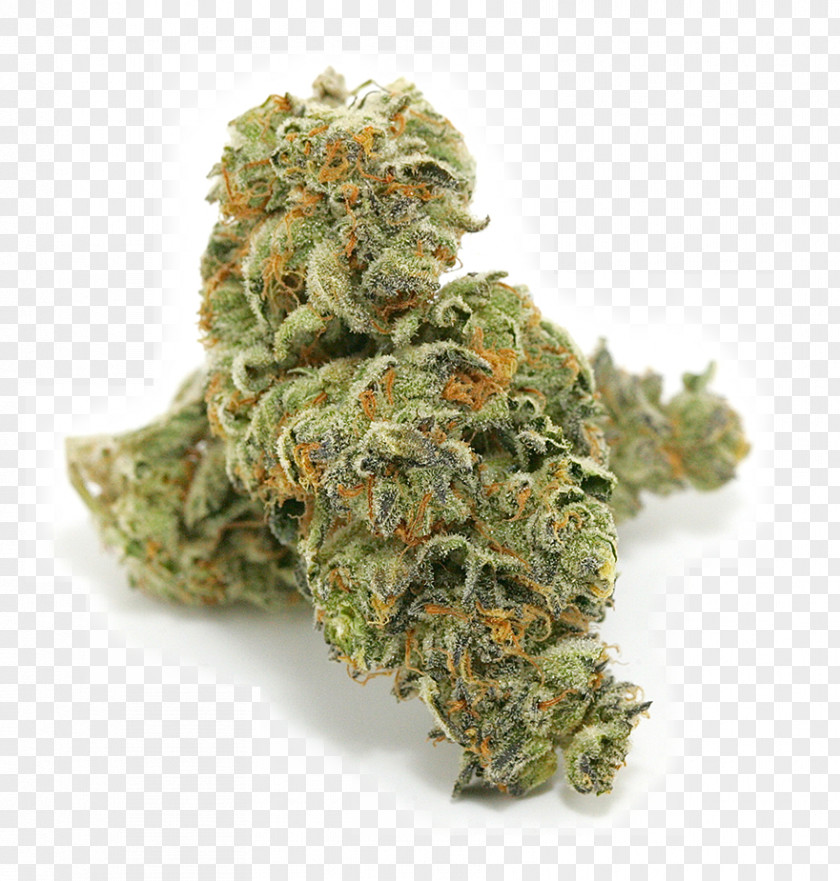 Cannabis Medical Kush Dispensary Shop PNG