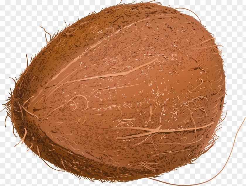 Coconut Image Cocos2d Sprite Compression Artifact Computer File PNG