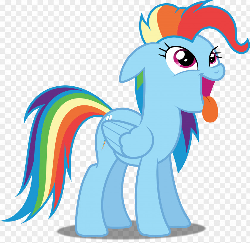 Rainbow Dash Twilight Sparkle Rarity Applejack Pony PNG