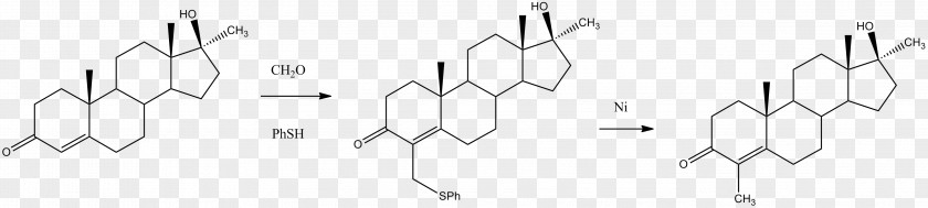 Synthesis Vitamin D Testosterone Cholecalciferol Ergocalciferol PNG