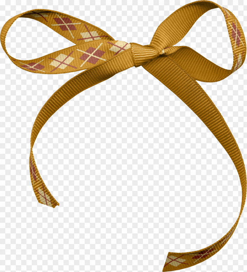 Autumn Has Set In Paper Blog WordPress Ribbon Gift PNG