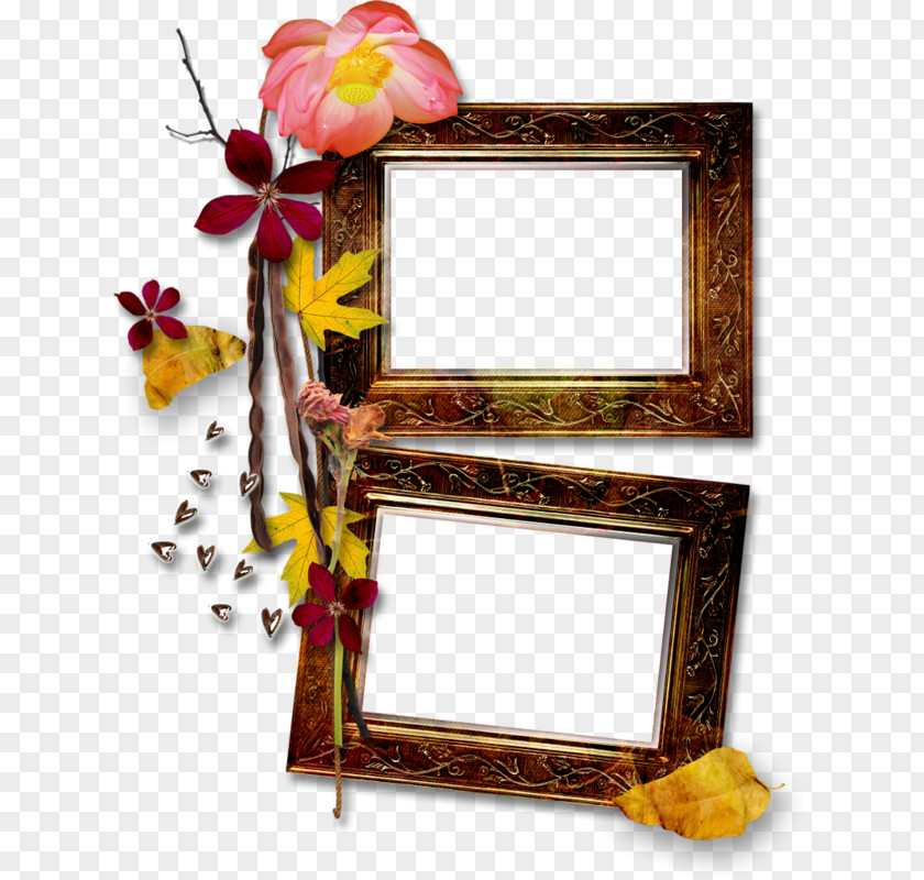 Beautiful Pictures Picture Frames Photography Clip Art PNG