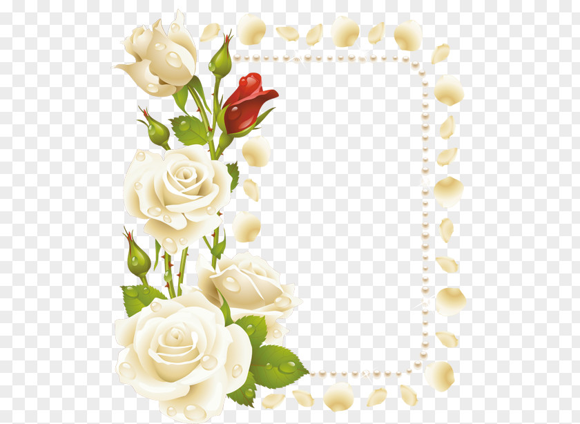 بارك الله Borders And Frames Rose Flower Clip Art PNG