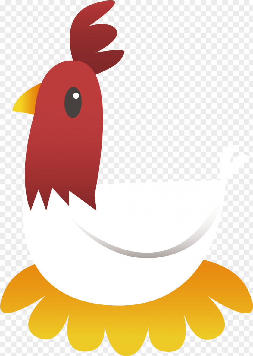 Cartoon Cock Vector Rooster Chicken Drawing Illustration PNG