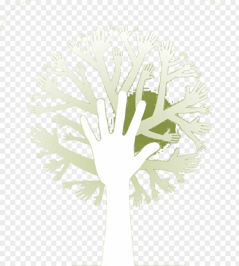 Illustration Material Palm Tree PNG