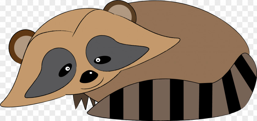Raccoon Bear Dog Procyonidae Carnivora Mammal PNG