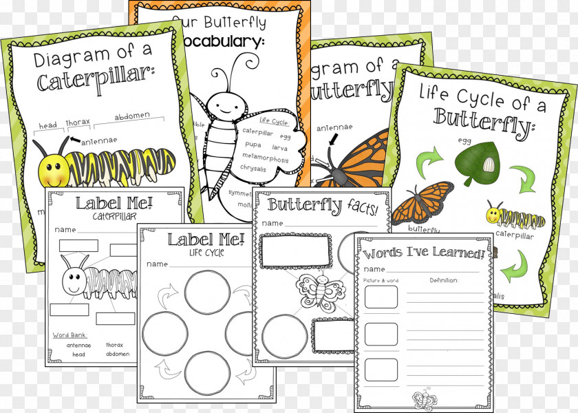 Thank God Butterfly First Grade Insect School Literacy PNG
