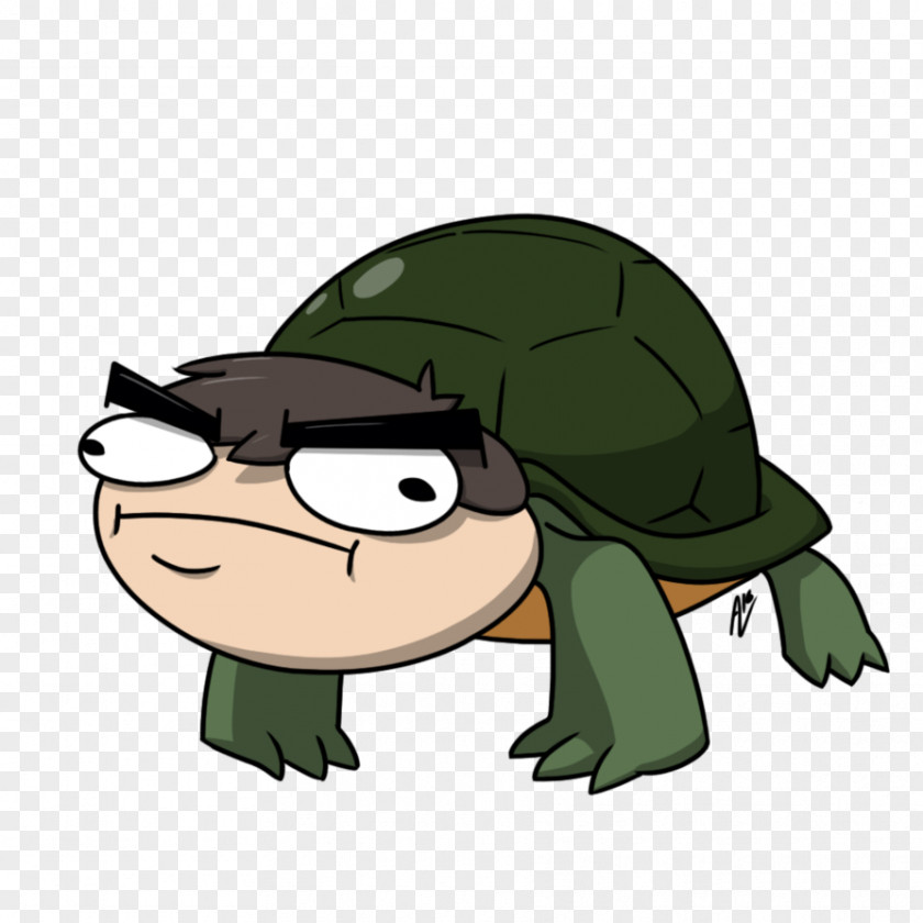 Turtle Tortoise Drawing DeviantArt PNG