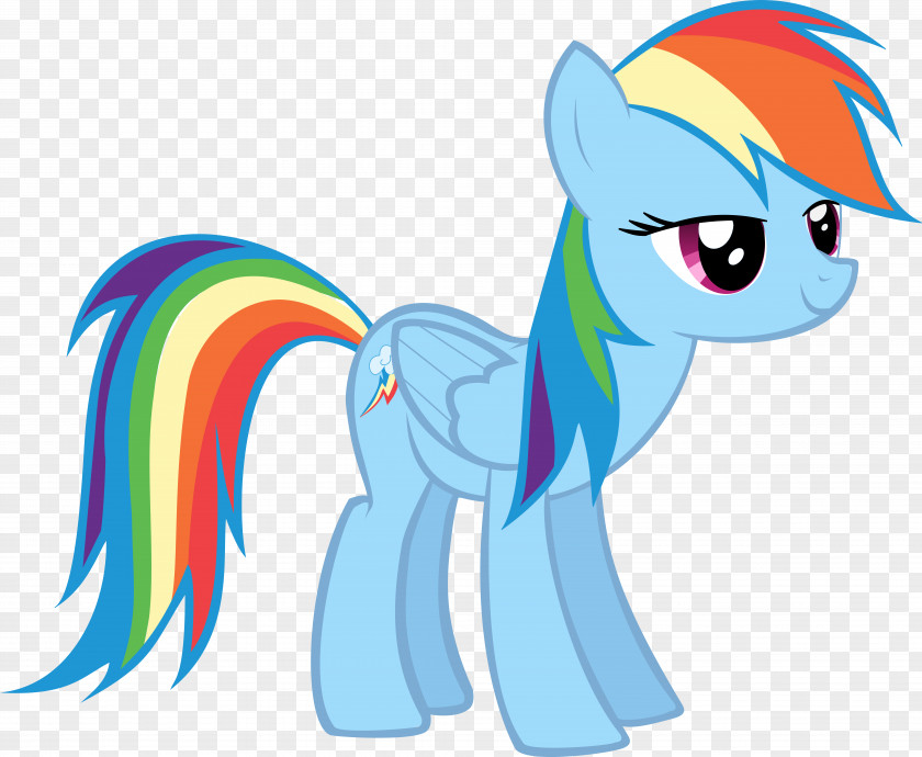 Vector Pony Rainbow Dash Rarity Applejack Pinkie Pie PNG