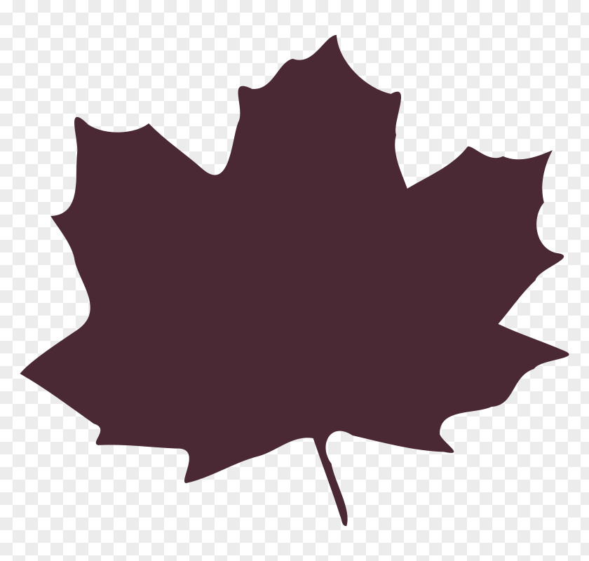 Autumn Clip Art Leaf Image PNG