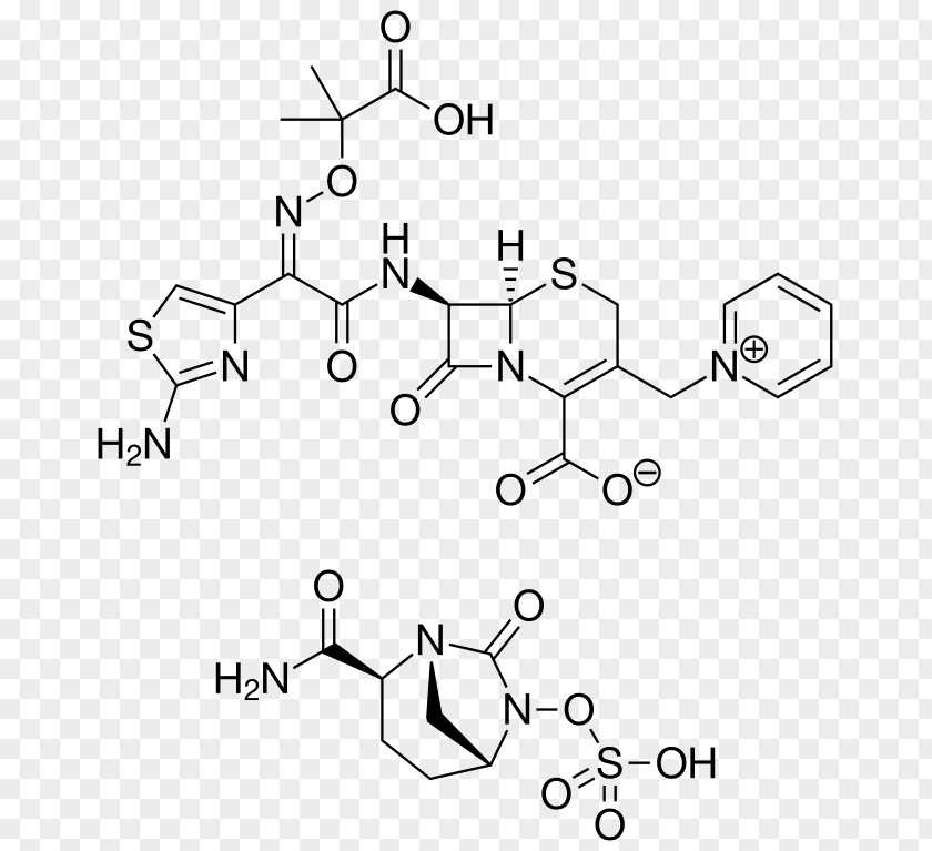 Ceftazidime Ceftazidime/avibactam Cephalosporin β-Lactamase Inhibitor PNG